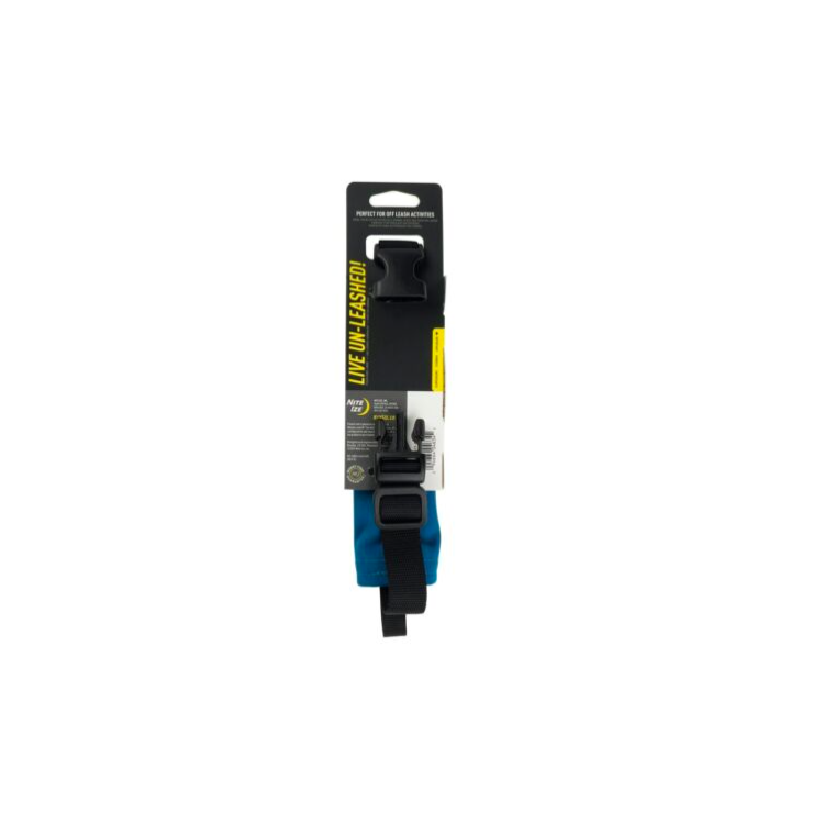 COLLIER ET LAISSE RETRACTABLE 91CM RADDOG TS BLEU
