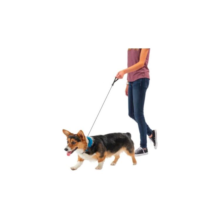 COLLAR AND RETRACTABLE LEAD 91CM RADDOG TS BLUE
