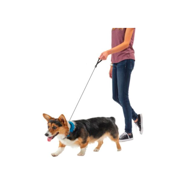 COLLAR AND RETRACTABLE LEAD 91CM RADDOG TS BLUE