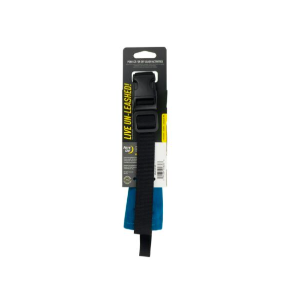 COLLAR AND RETRACTABLE LEAD 91CM RADDOG TM BLUE
