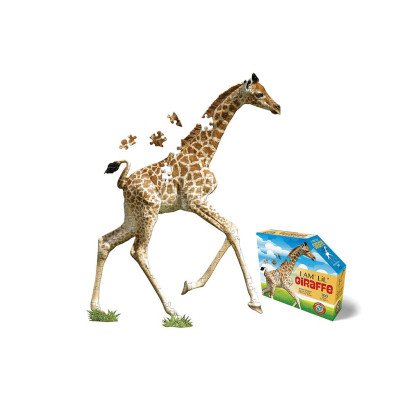 PÔSTER DO PUZZLE I AM...