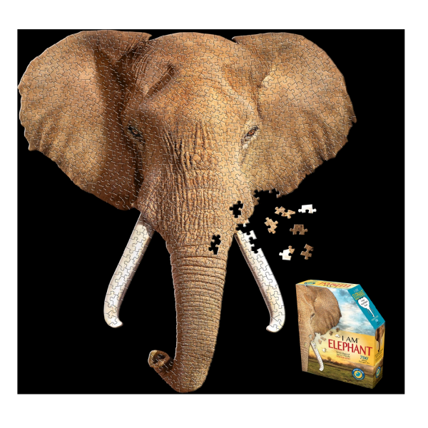 PÔSTER DO ENIGMA EU SOU TAMANHO DO ELEFANTE