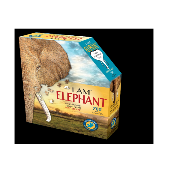 PÔSTER DO ENIGMA EU SOU TAMANHO DO ELEFANTE