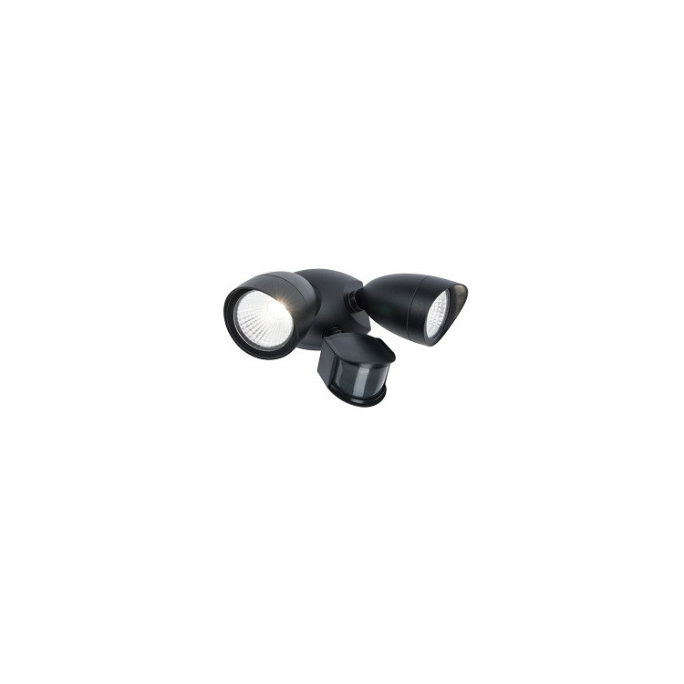 SECURITY PROJECTOR WITH MOTION DETECTOR