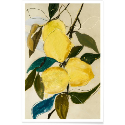 AFFICHE LEMONSTUDY 1 60x90