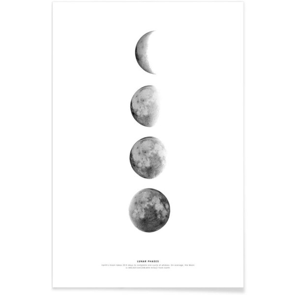 PHASES OF THE MOON POSTER 60x90