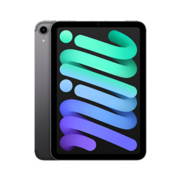 IPAD MINI WiFi 256 GO GRIS SIDERAL 2021