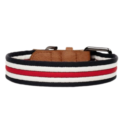 COLLIER HERITAGE POUR CHIEN 55X3 CM CUIR ET MOTIF 2