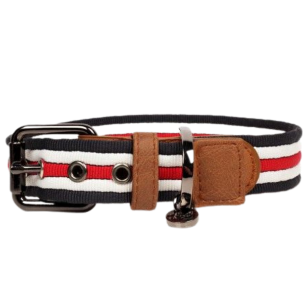 COLAR DE HERANÇA PARA CÃES 60X3 CM COURO E TESTE PADRÃO