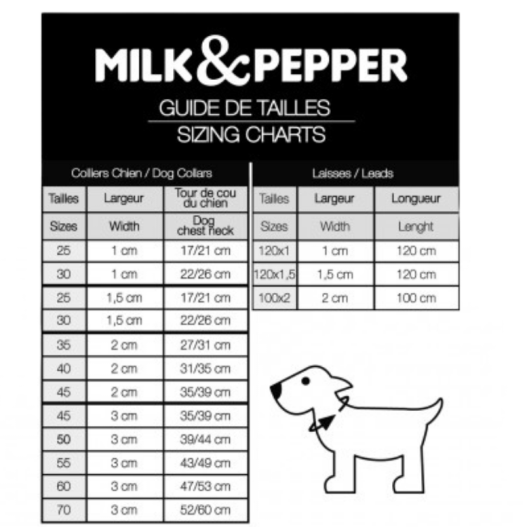 COLAR DE HERANÇA PARA CÃES 60X3 CM COURO E TESTE PADRÃO