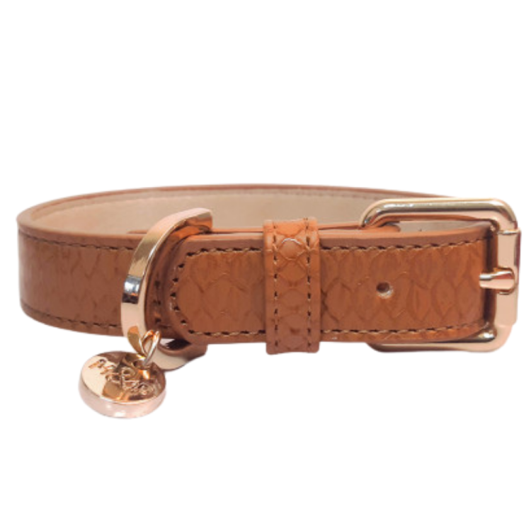 COLAR SAFIRA PARA CÃES 30X2 CM CAMEL COURO