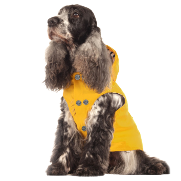 CAPUZ LATERAL IMPER PARA CÃES T29 AMARELO