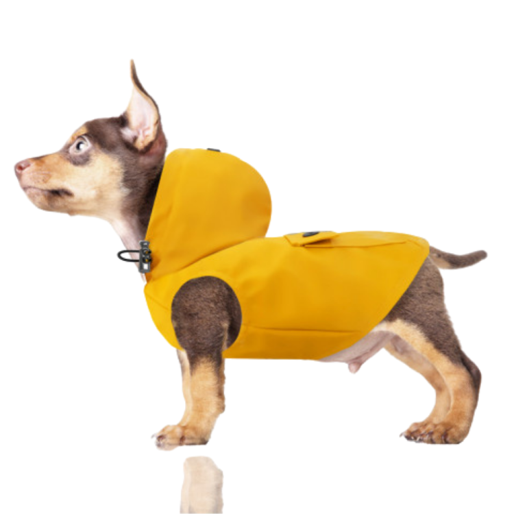 CAPUZ LATERAL IMPER PARA CÃES T29 AMARELO