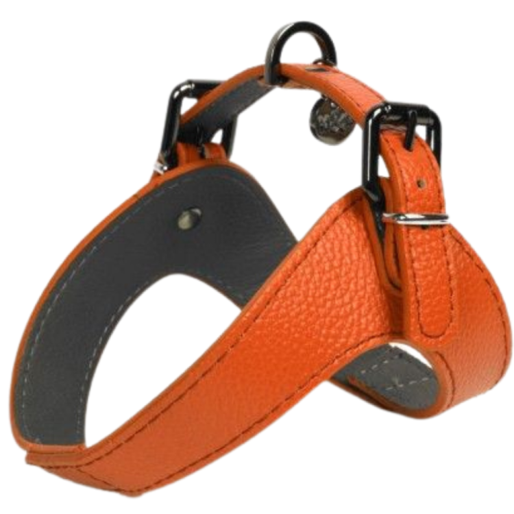 HARNESS DANDY 45 CM ORANGE LEATHER