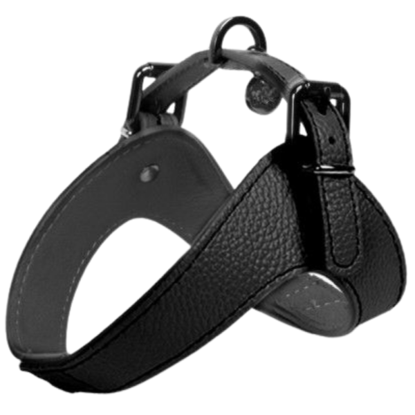 HARNESS DANDY 35 CM BLACK LEATHER