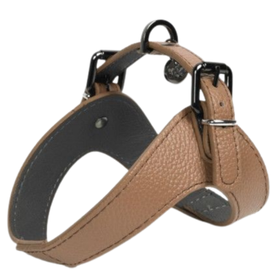 HARNAIS DANDY 30 CM CUIR CAMEL