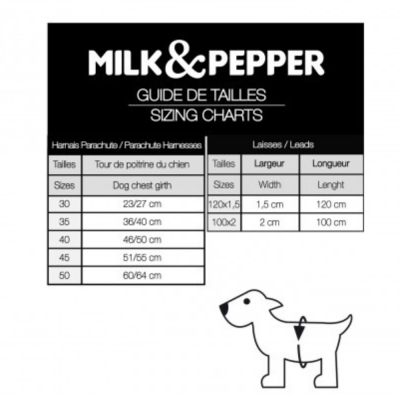 LAISSE DANDY POUR CHIEN 100X2 CM CUIR CAMEL 2