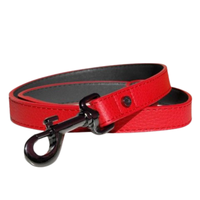 LAISSE DANDY 100X2 CM CUIR ROUGE