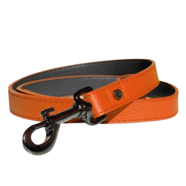 LAISSE DANDY 100X2 CM CUIR ORANGE