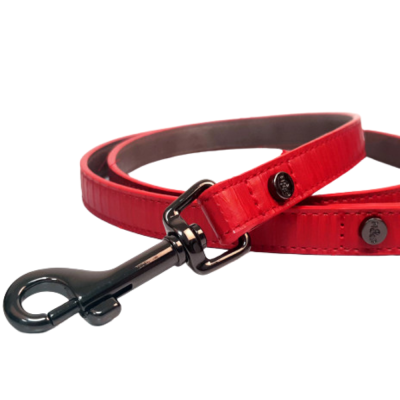 LAISSE SAFIRA POUR CHIEN 120X1.5 CM CUIR ROUGE