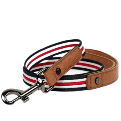 LAISSE HERITAGE POUR CHIEN 100X2 CM CUIR ET MOTIF