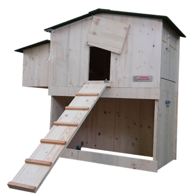 POULAILLER MIKA + PONDOIR MELEZE