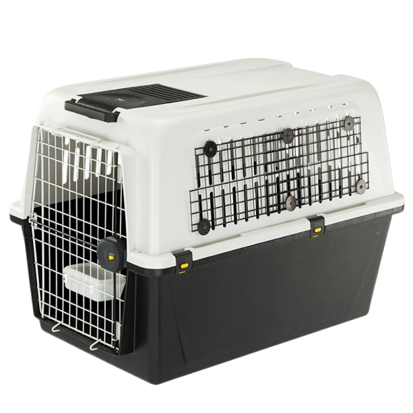 NET KIT ATLAS 10 PROFESSIONAL