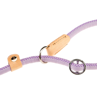 LAISSE DERBY GC12/170 VIOLETTE 2