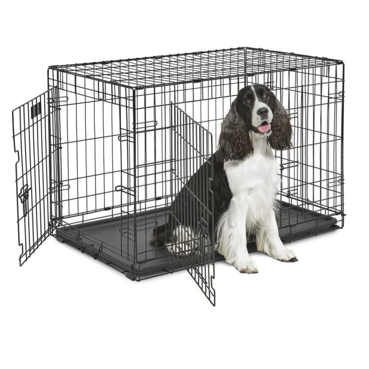 DOG-INN 90
