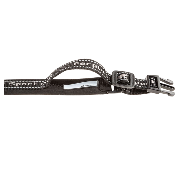 SPORT CHIEN C20/43 COLLIER GRIS