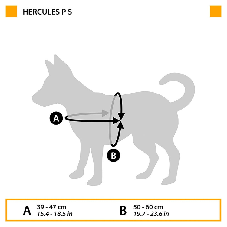ARREIO HERCULES PEQUENO PRETO