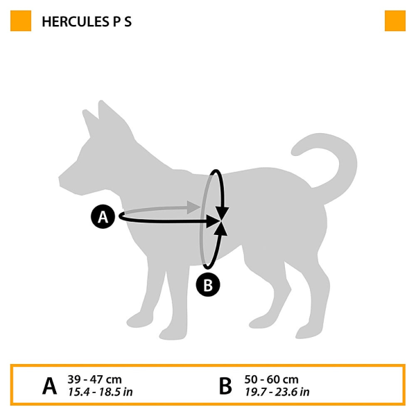 ARREIO HERCULES PEQUENO PRETO
