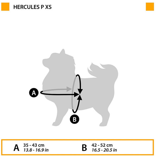 HARNAIS HERCULES P XS NOIR