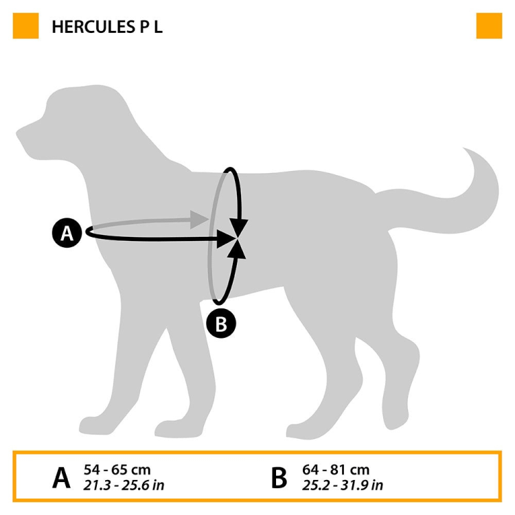 HERCULES LARGE BLACK HARNESS