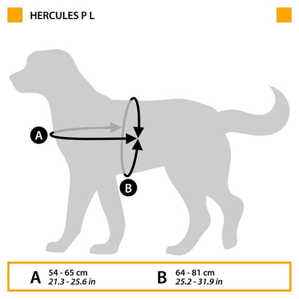 HERCULES LARGE BLACK HARNESS