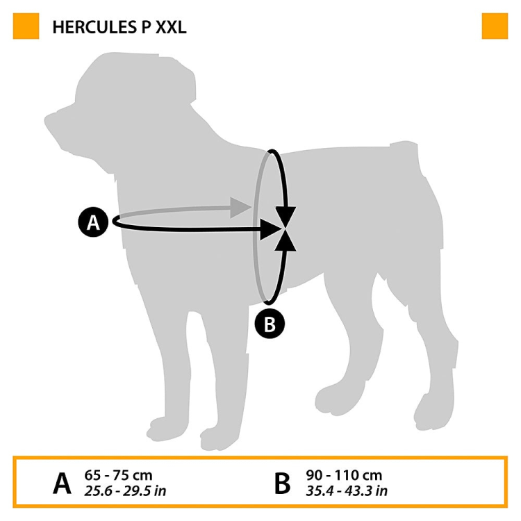 HARNESS HERCULES P XXL BLACK