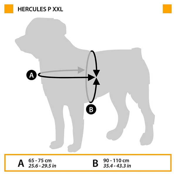 HARNESS HERCULES P XXL BLACK