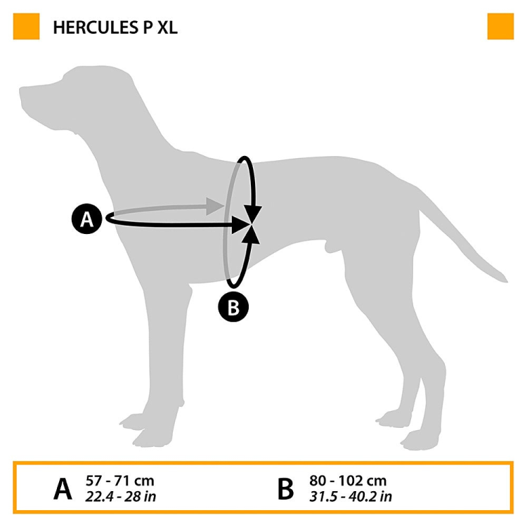 HERCULES XL HARNESS BLACK
