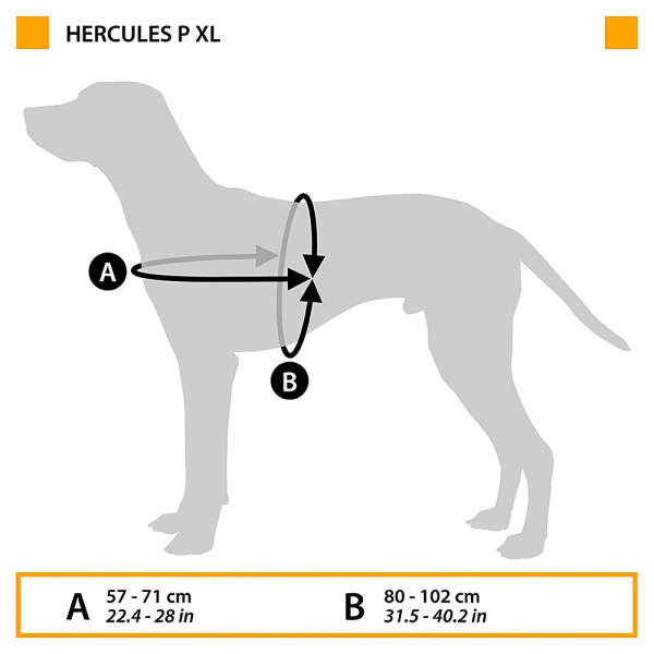 HERCULES XL HARNESS BLACK