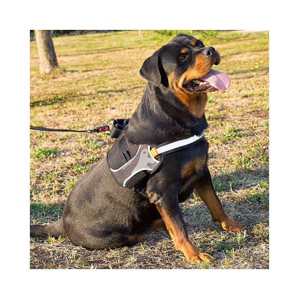 HERCULES XL HARNESS BLACK