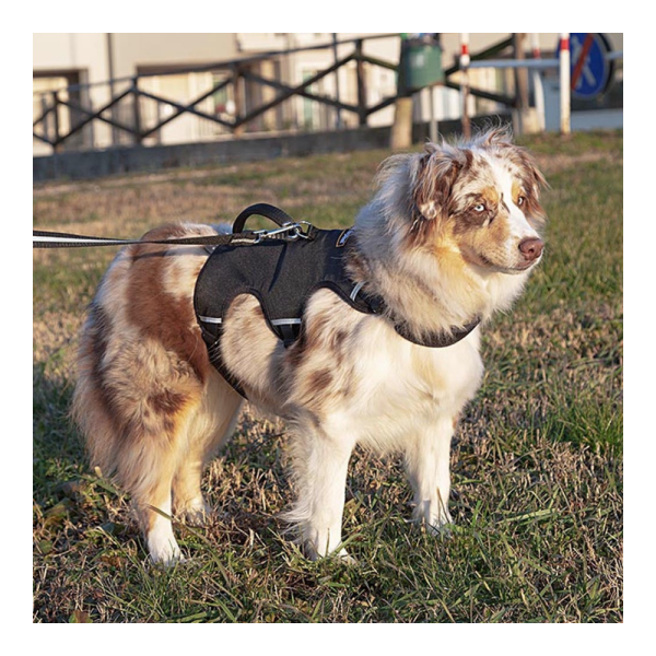 ERGOTREKKING L HARNESS BLACK