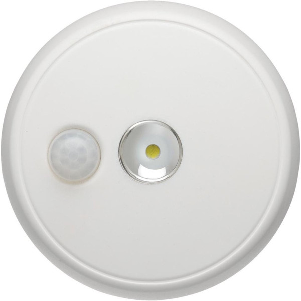 LED CEILING LIGHT WITH WHITE MOTION DETECTOR