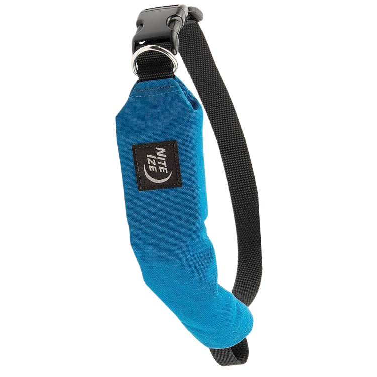 COLLAR AND RETRACTABLE LEAD 91CM RADDOG TM BLUE