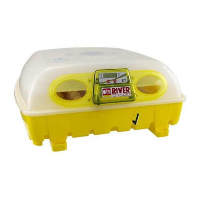 COUVEUSE DIGITALE...