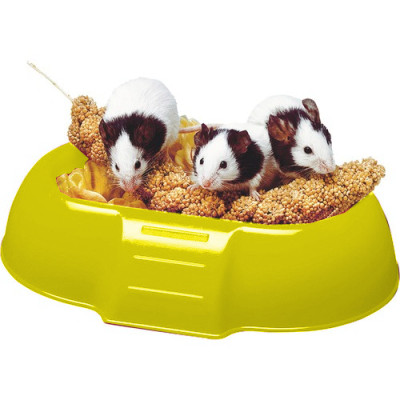 ALIMENTADOR DE ROEDORES AMARELO