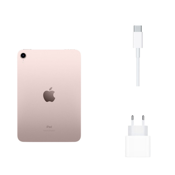 IPAD MINI WiFi 256 GO GRIS SIDERAL 2021