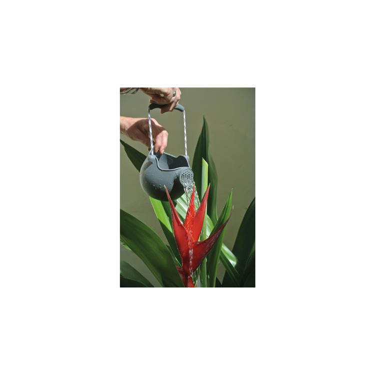 WATERING RING CAN GRAY