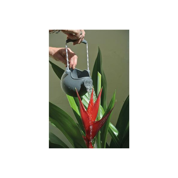 WATERING RING CAN GRAY