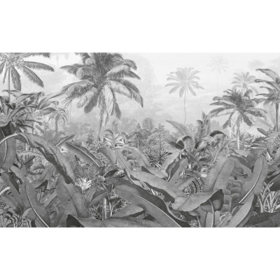 POSTER XXL IMPRESSION NUMERIQUE AMAZONIA BLACK & WHITE 400 X 250 CM