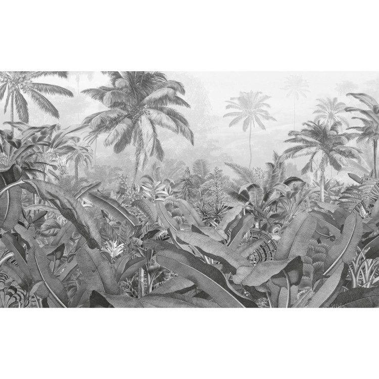 XXL POSTER DIGITAL PRINT AMAZONIA BLACK & WHITE 400 X 250 CM